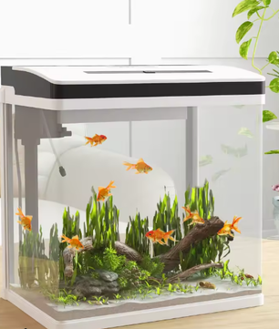 Glazen aquarium starterkit – Met LED-verlichting & filtersysteem