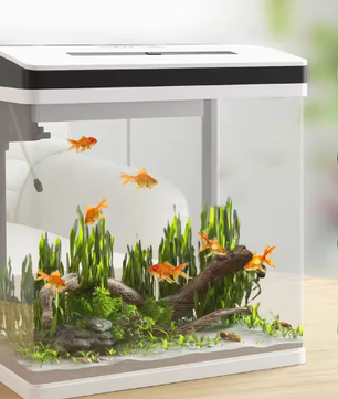 Glazen aquarium starterkit – Met LED-verlichting & filtersysteem