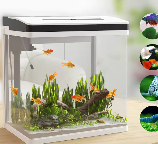 Glazen aquarium starterkit – Met LED-verlichting & filtersysteem