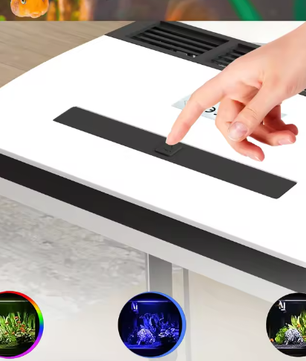 Glazen aquarium starterkit – Met LED-verlichting & filtersysteem