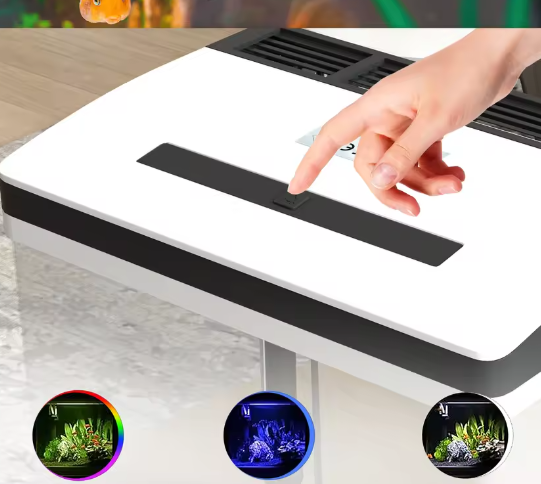 Glazen aquarium starterkit – Met LED-verlichting & filtersysteem
