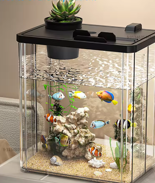 Mini aquarium starterkit – Acryl desktop viskom met pomp & licht