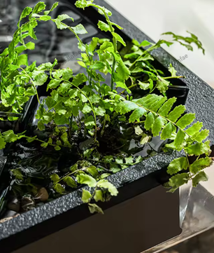 Acryl aquarium met waterpomp, LED-licht en ecologisch cyclussysteem
