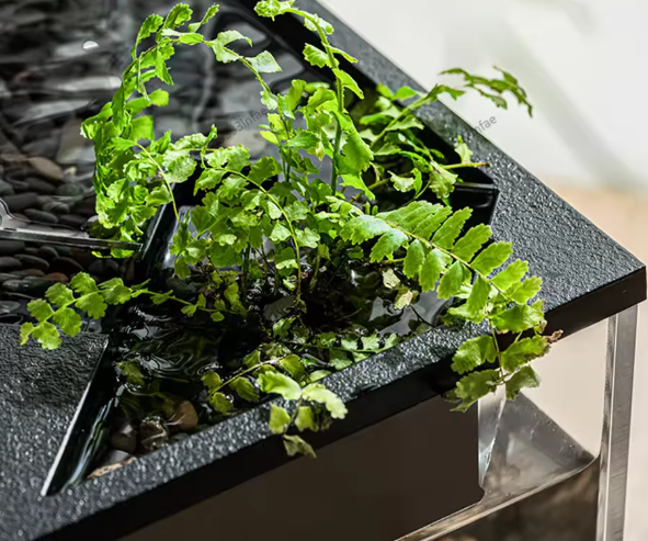 Acryl aquarium met waterpomp, LED-licht en ecologisch cyclussysteem