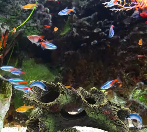 Aquarium Hars Houtdecoratie – Hol Landschapsornament met Schuilplaats