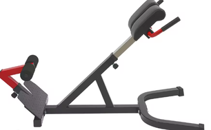 Multifunctionele Gymbank – Vrijstaande Buik- en Rugtrainer, Verstelbaar