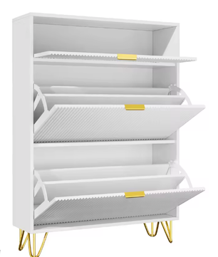 Moderne Schoenenkast met 2 Vouwdeuren en Bovenvak