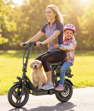 Elektrische Mountainbike – 1000W Peak en 100KM Actieradius