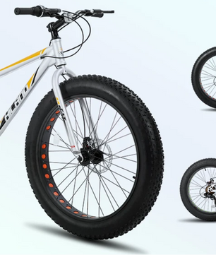 Kinder Fatbike 20 Inch – Mountainbike met Brede Banden, 7 Versnellingen en Schijfremmen