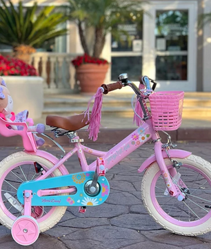 Kinderfiets met Poppenzitje en Accessoires – Meisjesfiets met Streamers, Vlag en Nummerplaat