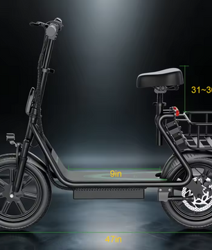 Elektrische Mountainbike – 1000W Peak en 100KM Actieradius