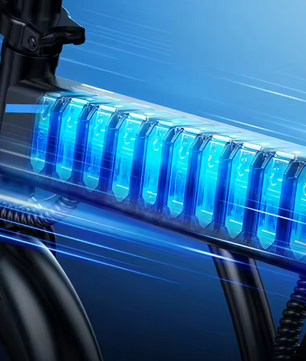 Elektrische Vouwfiets 14 Inch – 250W Motor en 25 km/u