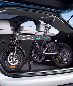 Elektrische Vouwfiets 14 Inch – 250W Motor en 25 km/u
