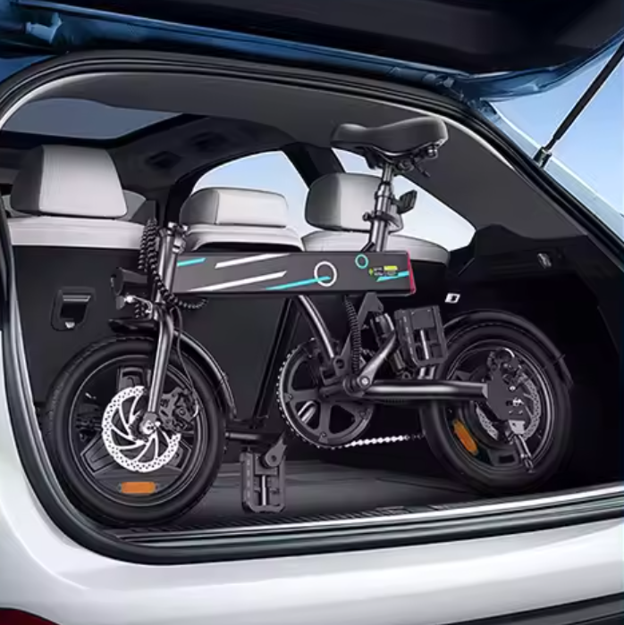 Elektrische Vouwfiets 14 Inch – 250W Motor en 25 km/u