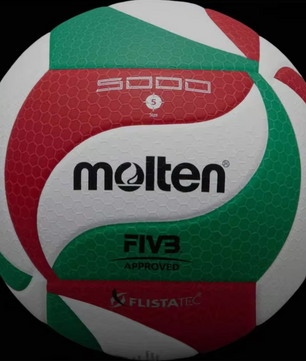 Volleybal Maat 5 – Professionele PU Wedstrijdbal Duurzaam voor Indoor en Outdoor
