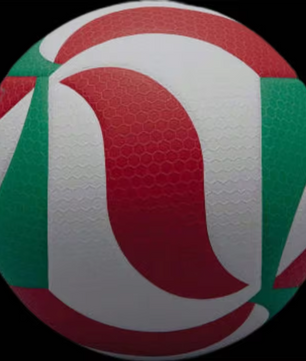 Volleybal Maat 5 – Professionele PU Wedstrijdbal Duurzaam voor Indoor en Outdoor