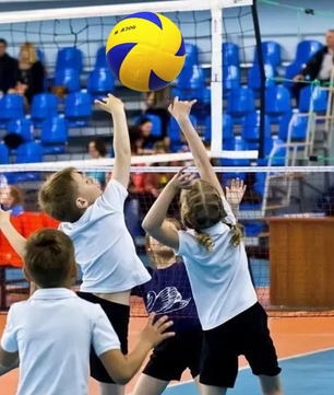 Volleybal Maat 5 – PU Soft Touch Bal voor Indoor een Outdoor Training en Wedstrijd