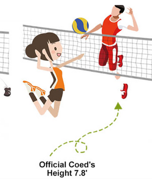 Complete Volleybal Net Set – Verstelbare Hoogte met Aluminium Palen en Draagtas