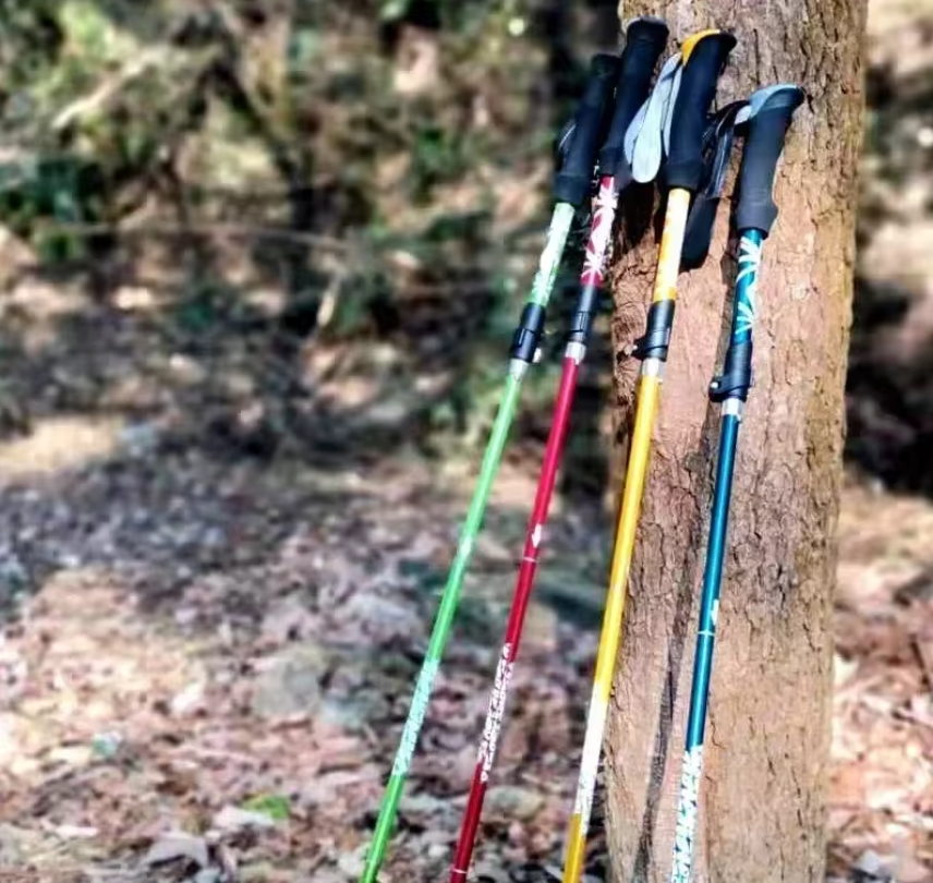 Set van 2 Opvouwbare Trekkingstokken – Ultralicht Aluminium met Telescopische Verstelling