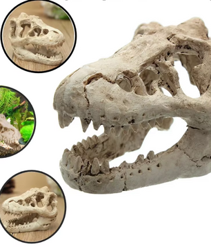 Dinosaurus Fossiel Aquarium Decoratie – Hars Ornament voor Aquarium en Terrarium