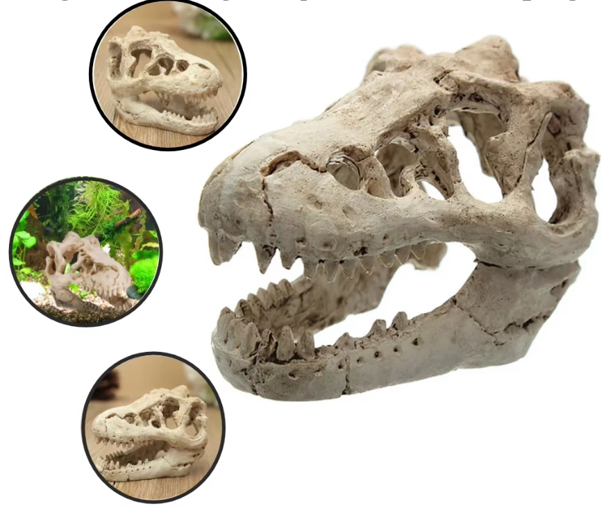 Dinosaurus Fossiel Aquarium Decoratie – Hars Ornament voor Aquarium en Terrarium
