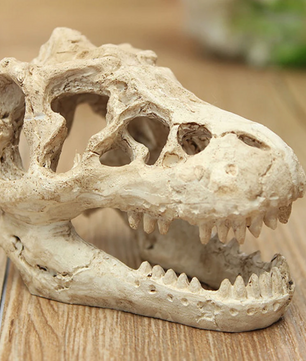 Dinosaurus Fossiel Aquarium Decoratie – Hars Ornament voor Aquarium en Terrarium