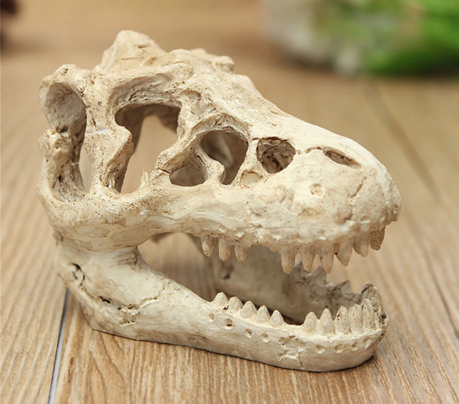 Dinosaurus Fossiel Aquarium Decoratie – Hars Ornament voor Aquarium en Terrarium