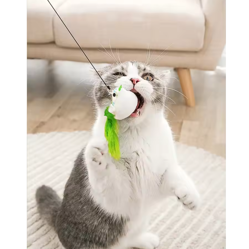 Interactief Katten Speelgoed met Veer en Bel – Zuignap Vogel Simulatie