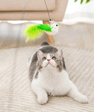 Interactief Katten Speelgoed met Veer en Bel – Zuignap Vogel Simulatie