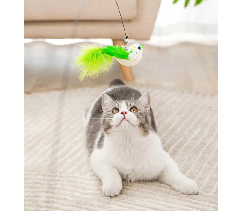 Interactief Katten Speelgoed met Veer en Bel – Zuignap Vogel Simulatie
