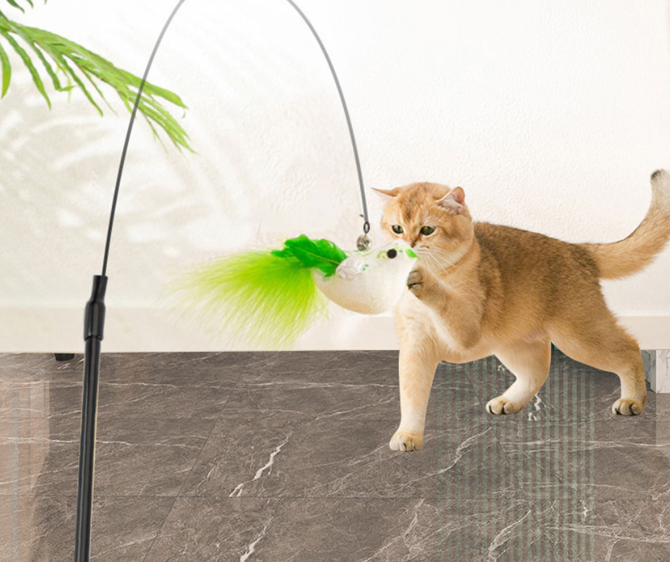 Interactief Katten Speelgoed met Veer en Bel – Zuignap Vogel Simulatie