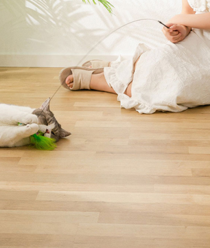 Interactief Katten Speelgoed met Veer en Bel – Zuignap Vogel Simulatie