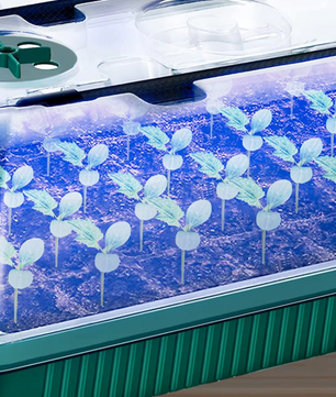 Set van 2 Startbakken voor Zaden met Ontkiemingsset – 80 Cellen, Hoge Koepel, 4 LED-Kweeklampen, Slimme Timer en 3 Lichtmodi