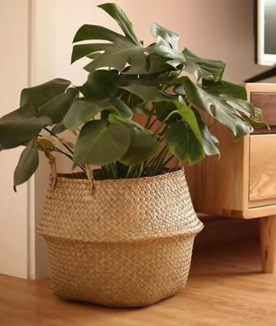 Gevlochten Zeegras Opbergmand – Opvouwbare Wasmand en Hangende Plantenmand