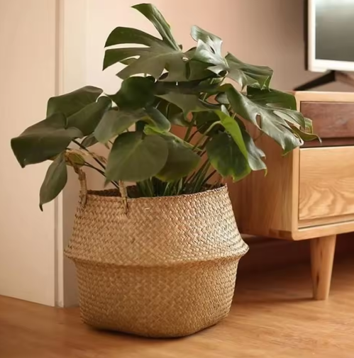 Gevlochten Zeegras Opbergmand – Opvouwbare Wasmand en Hangende Plantenmand