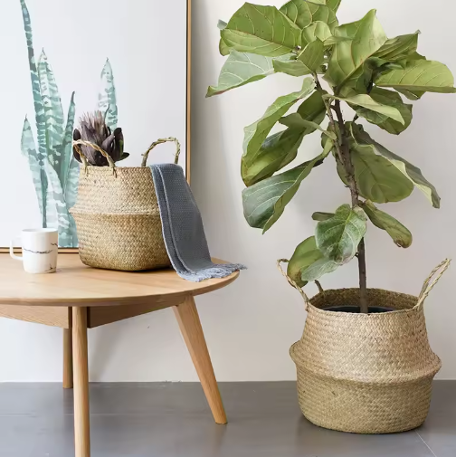 Gevlochten Zeegras Opbergmand – Opvouwbare Wasmand en Hangende Plantenmand
