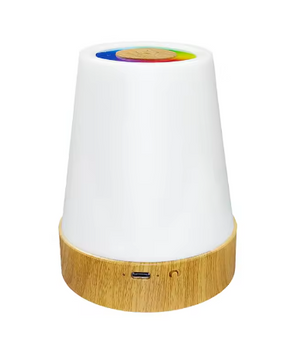 LED Nachtlamp 13 Kleuren – Oplaadbaar RGB Sfeerlicht met Touch en Afstandsbediening