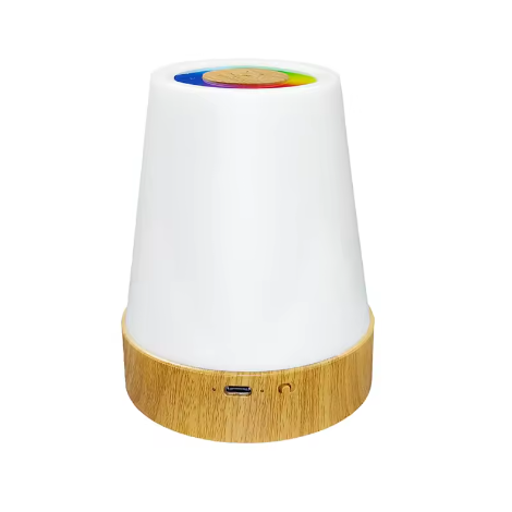LED Nachtlamp 13 Kleuren – Oplaadbaar RGB Sfeerlicht met Touch en Afstandsbediening