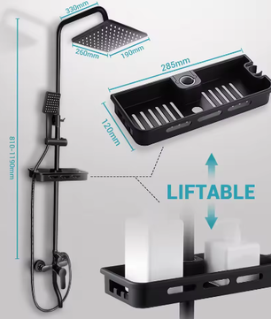 Zwarte Messing Douchekraan 2-Weg met Regendouche, Handdouche en Plank