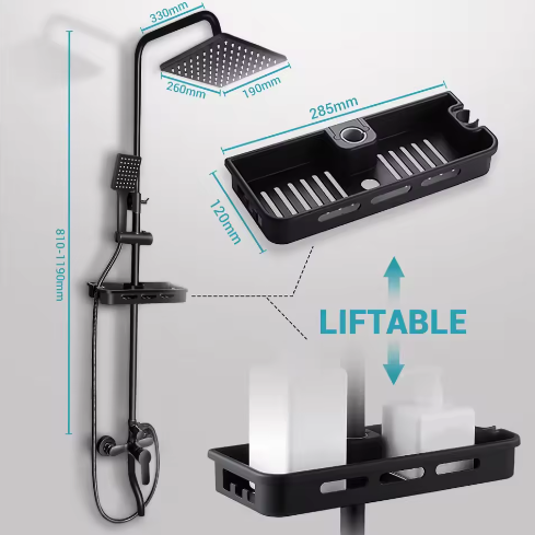 Zwarte Messing Douchekraan 2-Weg met Regendouche, Handdouche en Plank