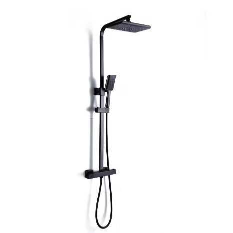 Douchesysteem met Thermostaat en Regendouche RVS