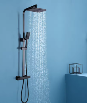 Douchesysteem met Thermostaat en Regendouche RVS