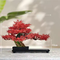 LED Bonsai Boom – Kunstmatige Potplant Decoratie voor Woonkamer en Tuin