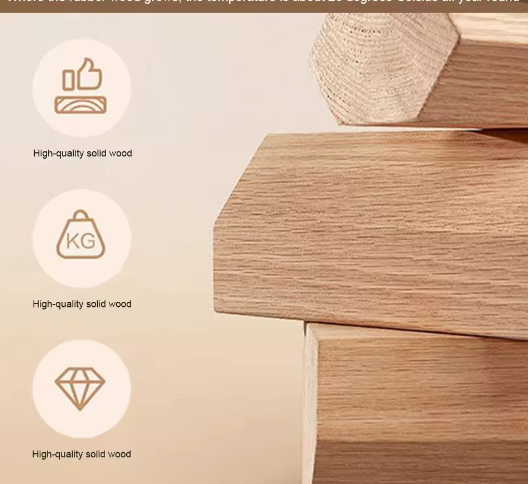 2-Laags Monitor Standaard met Lade – Bureau Organizer en Computer Verhoger