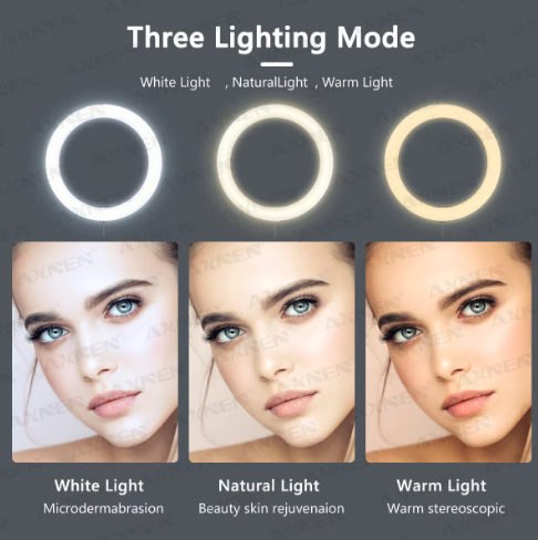 26 cm LED Ringlicht met Statief – Dimbare Selfie Lamp met Telefoonhouder