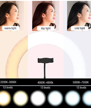 16/26/33 cm LED Selfie Ringlicht – Dimbare Fotografie Lamp met Statief voor Video en Live Streaming