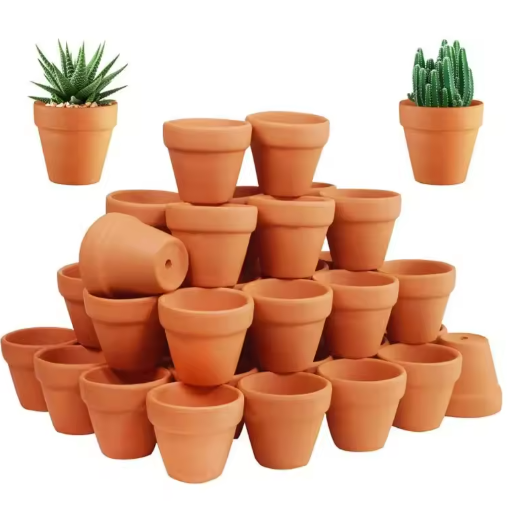 Set van 50 Mini Terracotta Bloempotten – Kleine Kleipotten met Drainagegaten voor Vetplanten en Cactussen