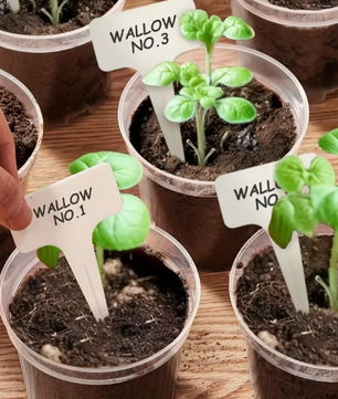 72-Delige Set Transparante Kweekpotten met Dienbladen en Plantenlabels – Plastic Zaai- en Kweekpotten met Drainage