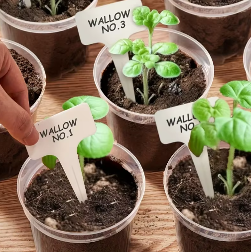 72-Delige Set Transparante Kweekpotten met Dienbladen en Plantenlabels – Plastic Zaai- en Kweekpotten met Drainage