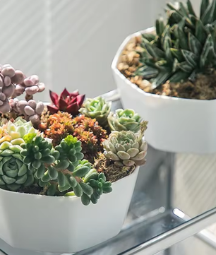 Eenvoudige Bloempot voor Binnen – Kunststof Plantenpot met Grote Opening en Bodembak